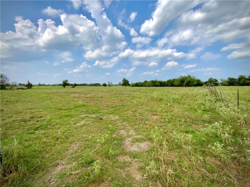 1409 West Trinity Street Groesbeck, TX 76642 - Photo 52 of 59
