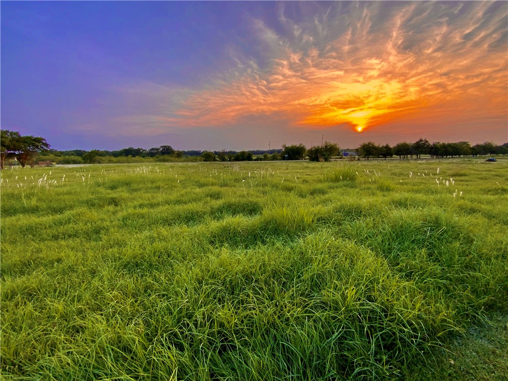 1409 West Trinity Street Groesbeck, TX 76642 - Photo 59 of 59