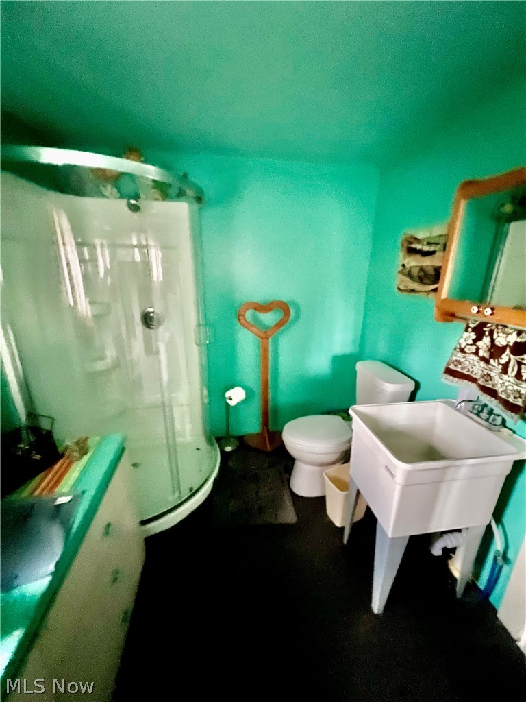4512 Wenz Road Wakeman, OH 44889 - Photo 17 of 19 Bathroom with a shower stall and a sink