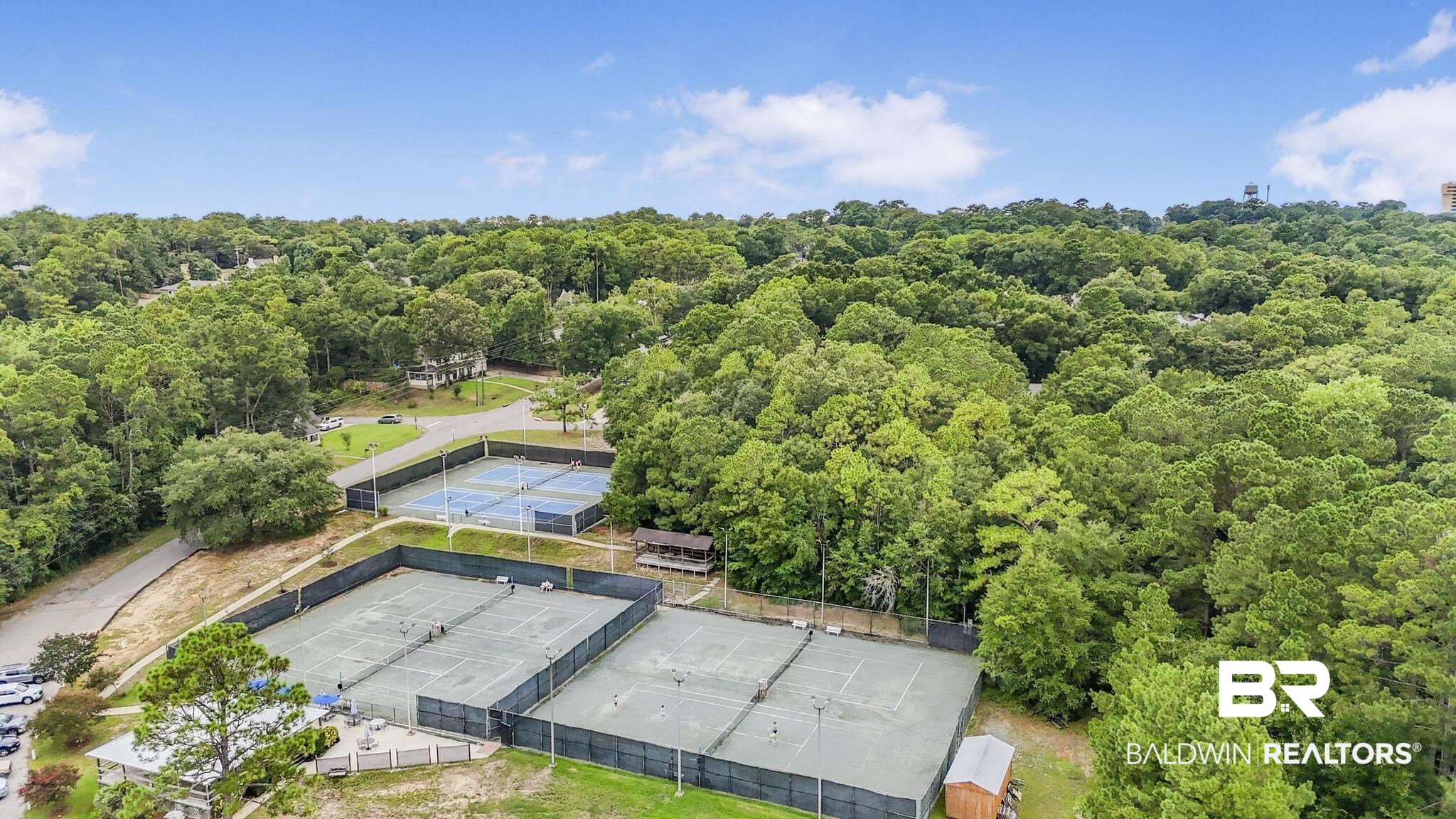140 Hope Drive Daphne, AL 36526 - Photo 46 of 54 Aerial view of a forest