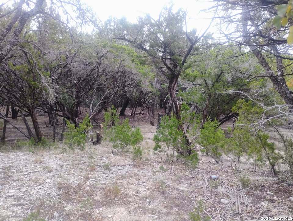 0 Frio Bandera, TX 78003 - Photo 2 of 5 a view of a forest filled with trees