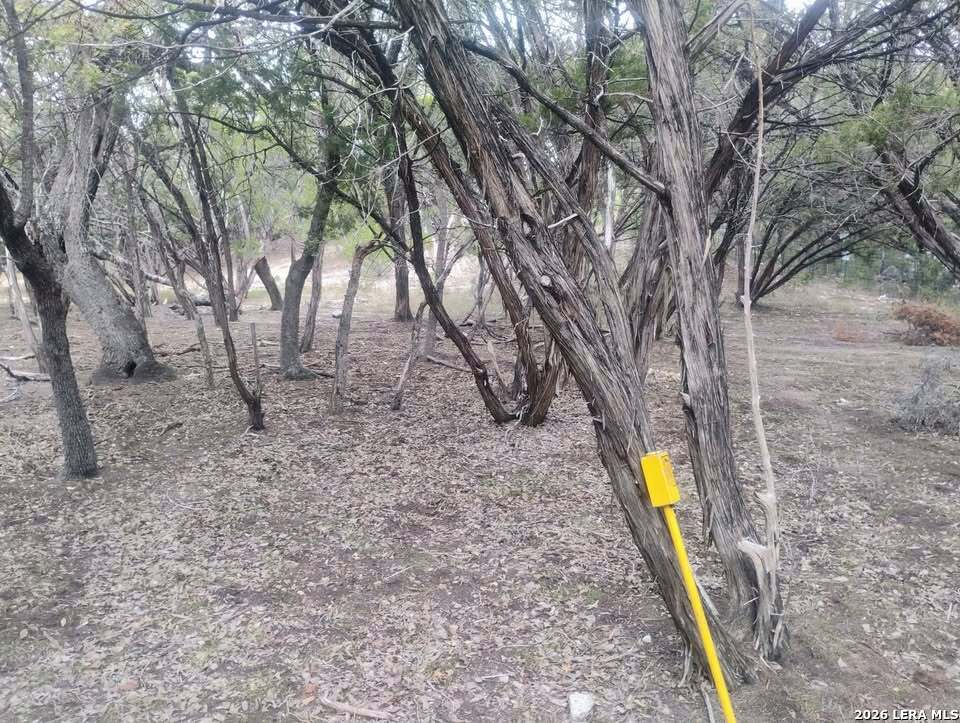 0 Frio Bandera, TX 78003 - Photo 3 of 5 a view of a yard with a tree