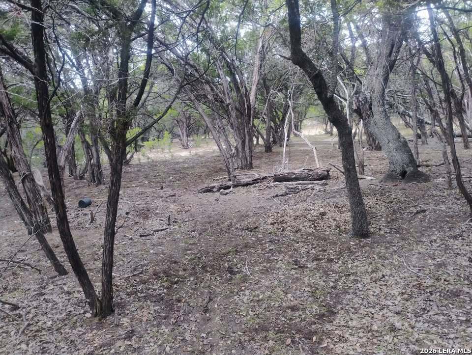 0 Frio Bandera, TX 78003 - Photo 4 of 5 a view of a forest filled with trees