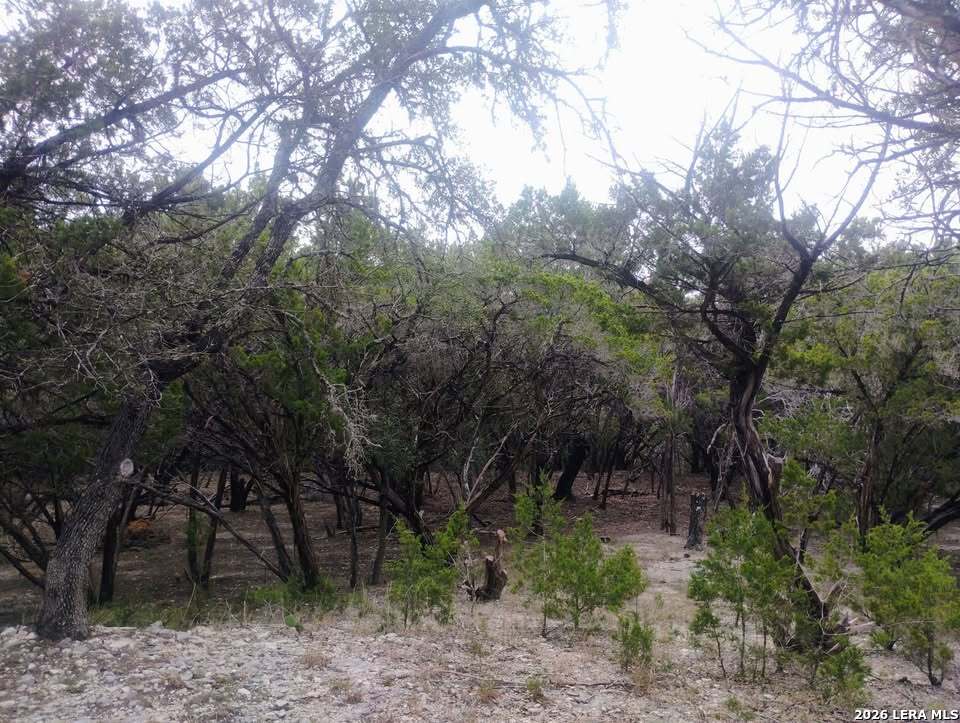 0 Frio Bandera, TX 78003 - Photo 5 of 5 a backyard of a house with lots of trees