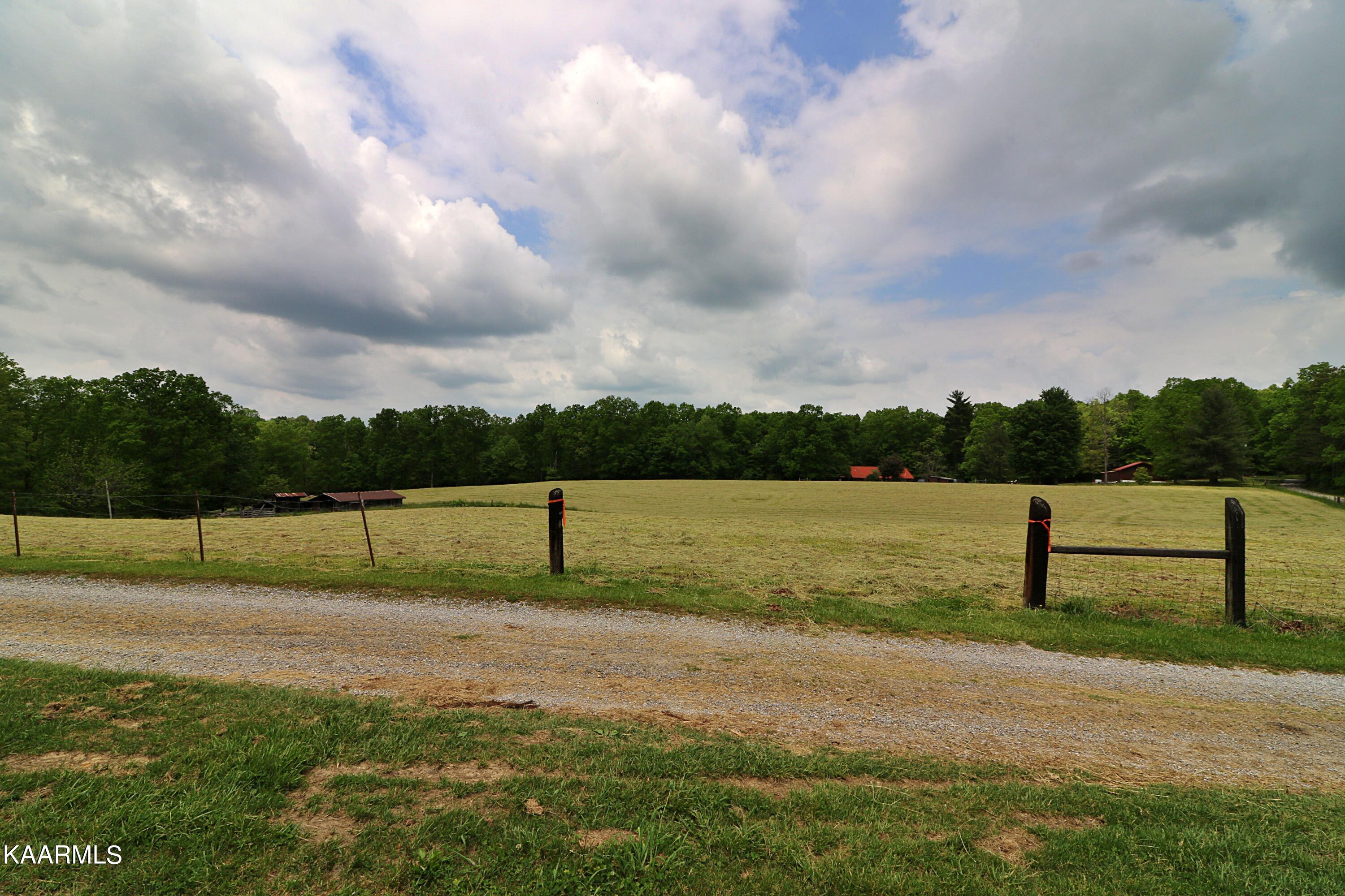 Mccartt Road Robbins, TN 37852 - Photo 3 of 25 094A9761