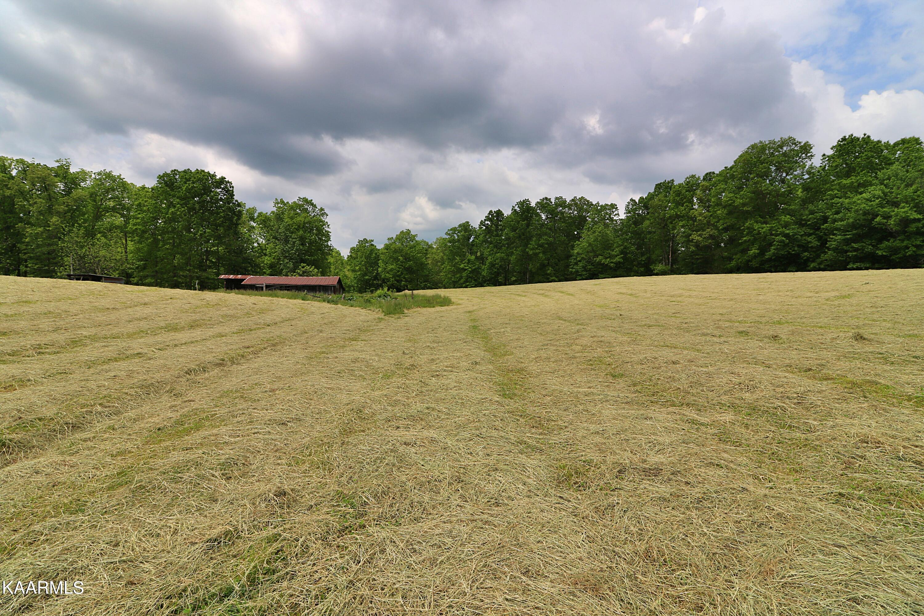 Mccartt Road Robbins, TN 37852 - Photo 7 of 25 094A9758