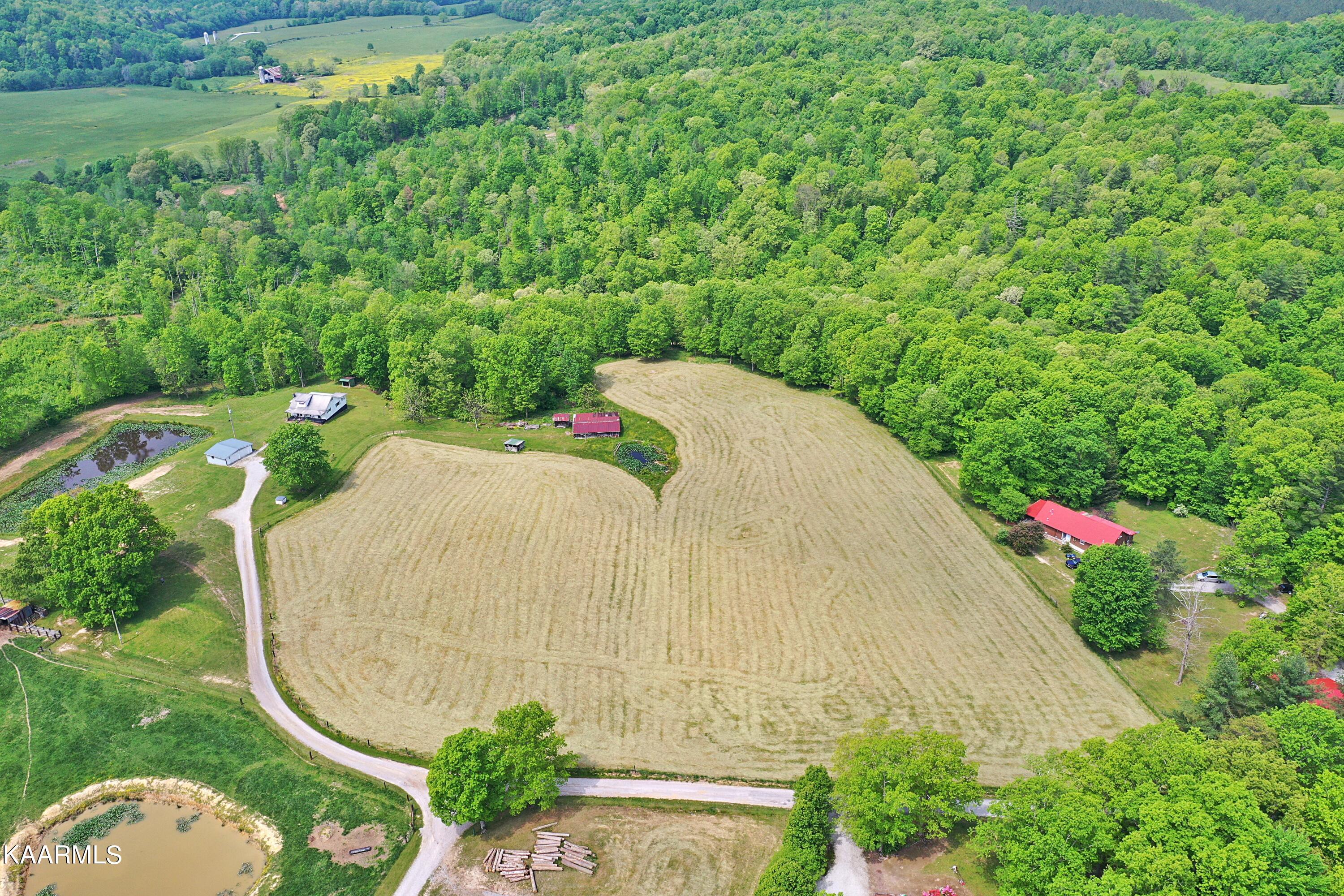 Mccartt Road Robbins, TN 37852 - Photo 8 of 25 DJI_0140