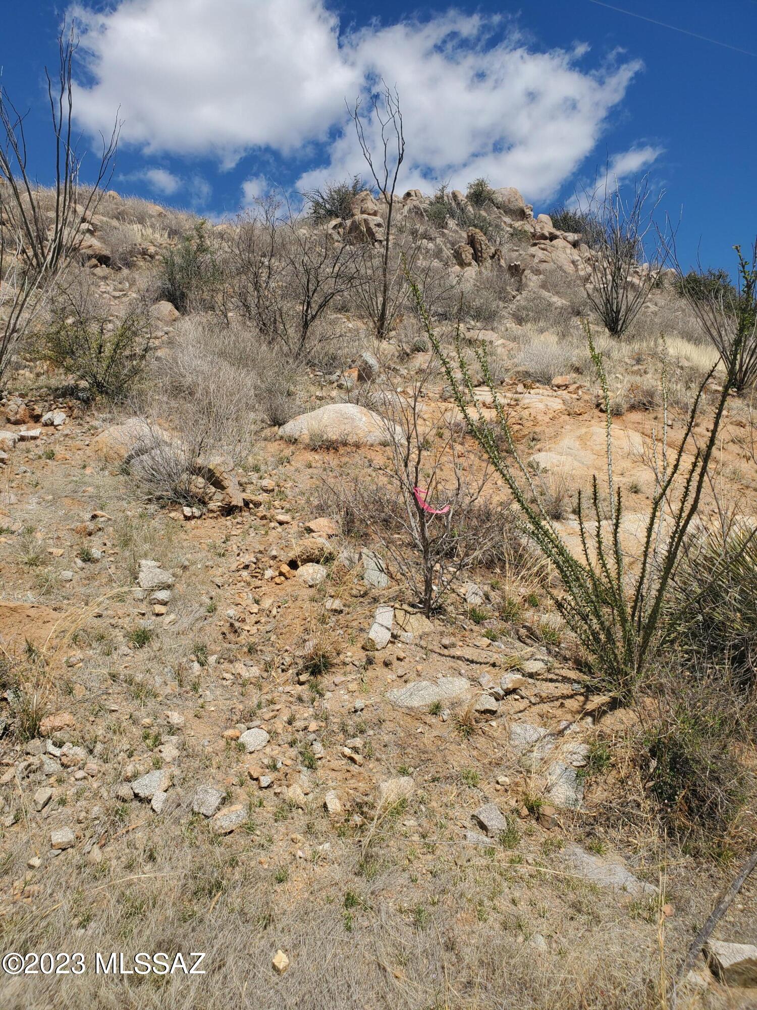 536 Vereda Atun, Unit 33 Rio Rico, AZ 85648 - Photo 4 of 11