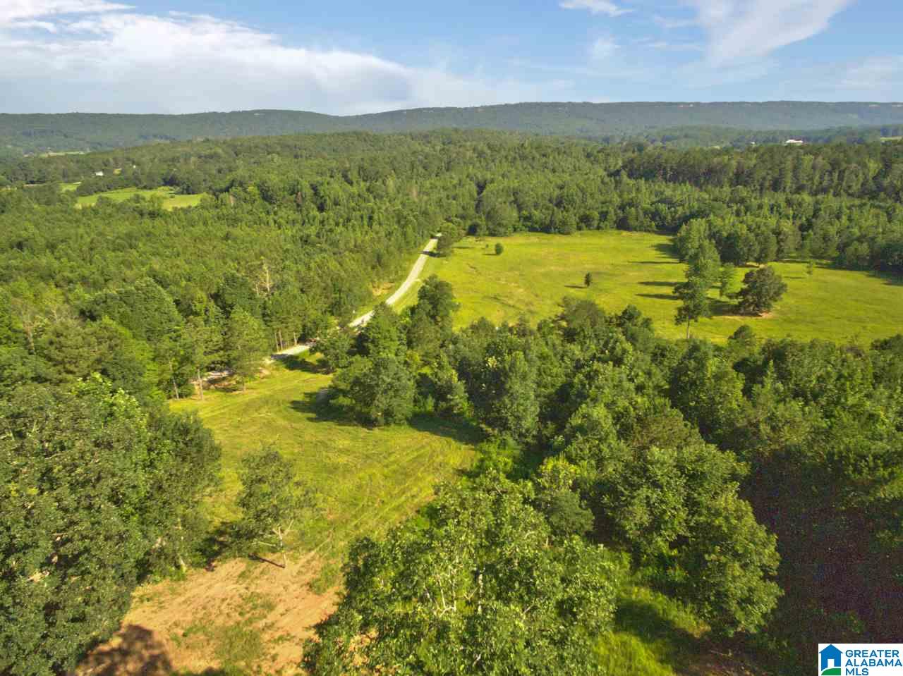 5015 Sumatanga Road Steele, AL 35987 - Photo 46 of 50