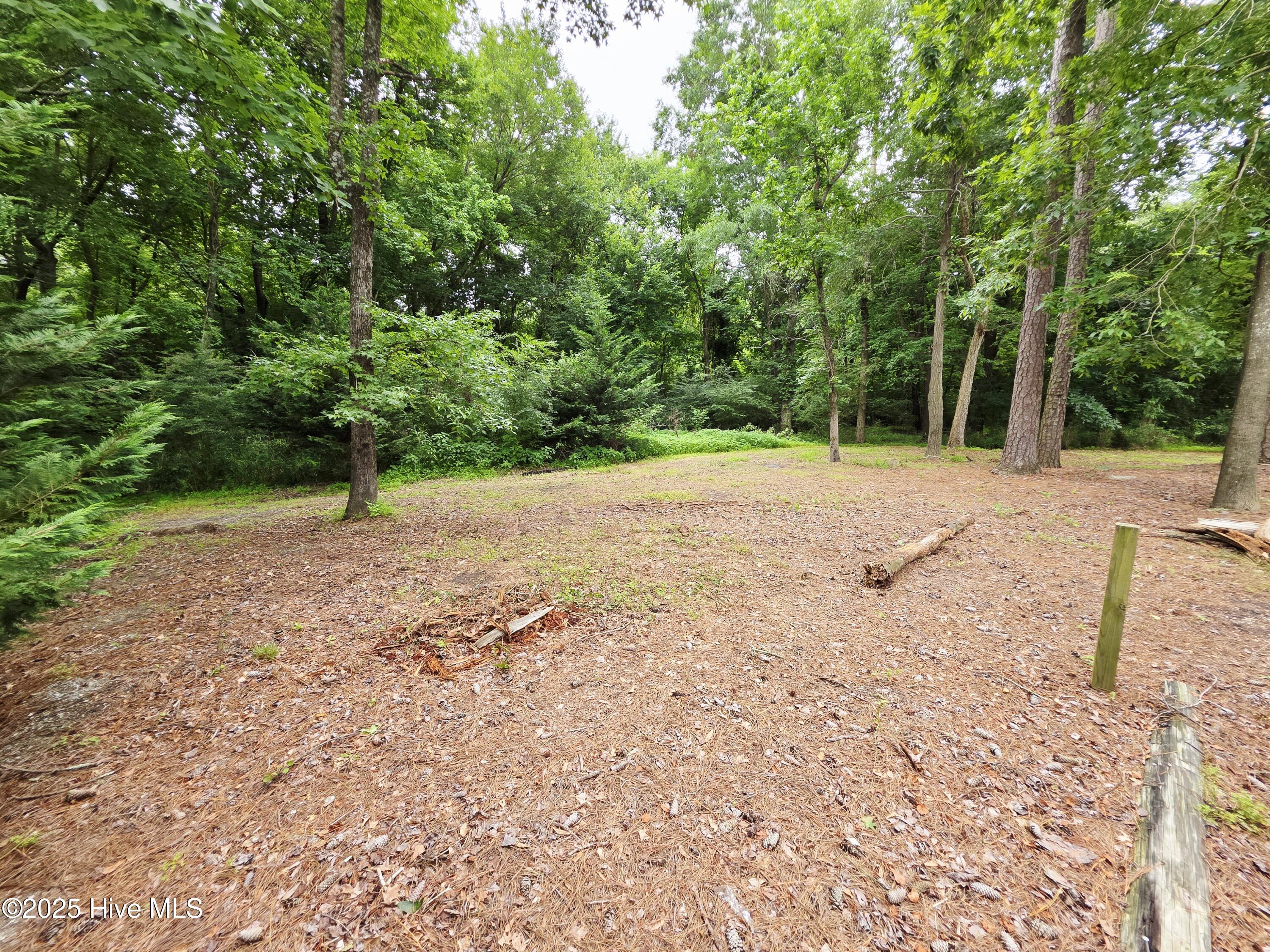 B Shady Creek Road Ayden, NC 28513 - Photo 25 of 34 20250608_140135