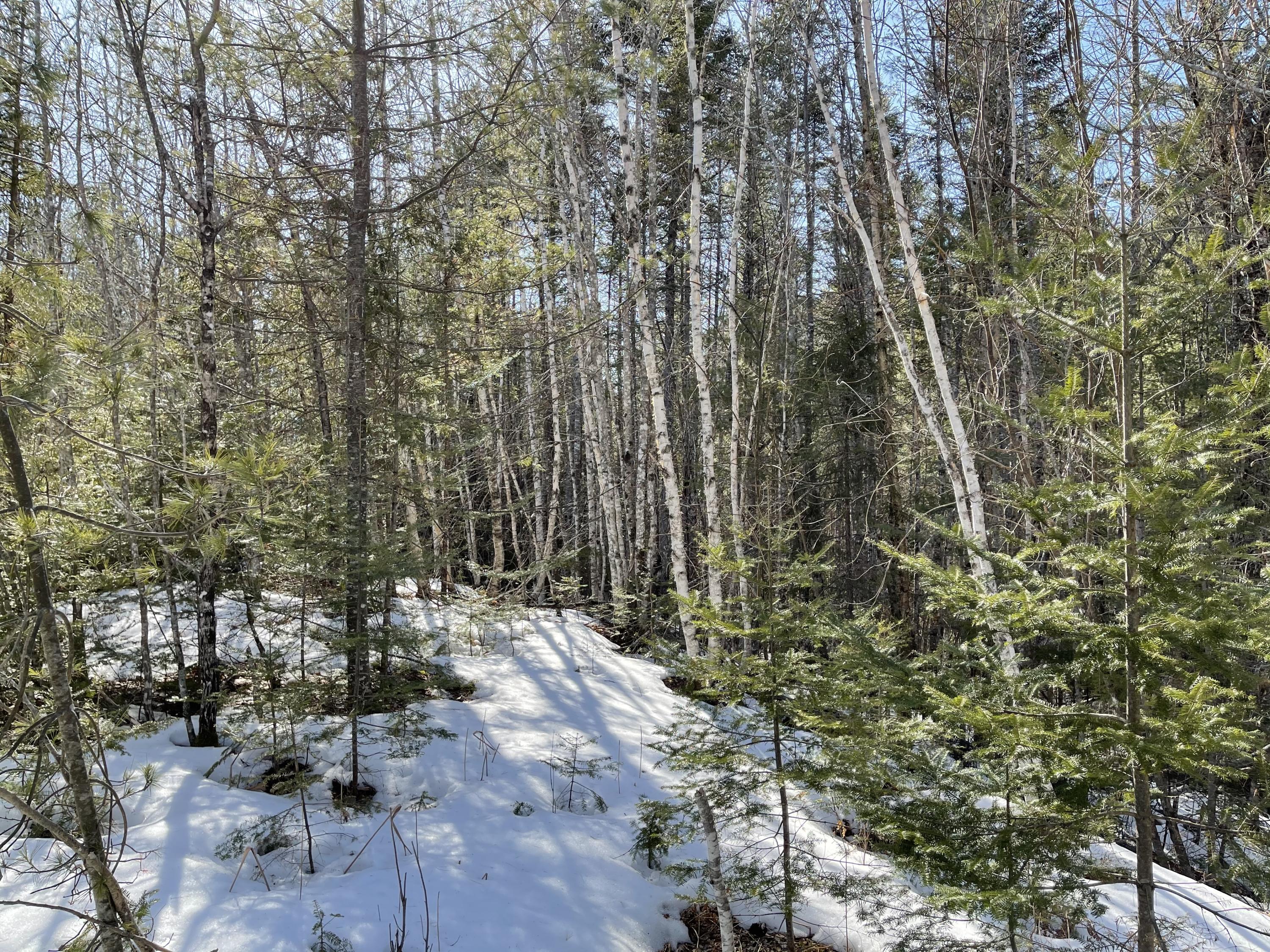 63-64 Kettle Ridge Northfield, ME 04654 - Photo 4 of 19 IMG-0820