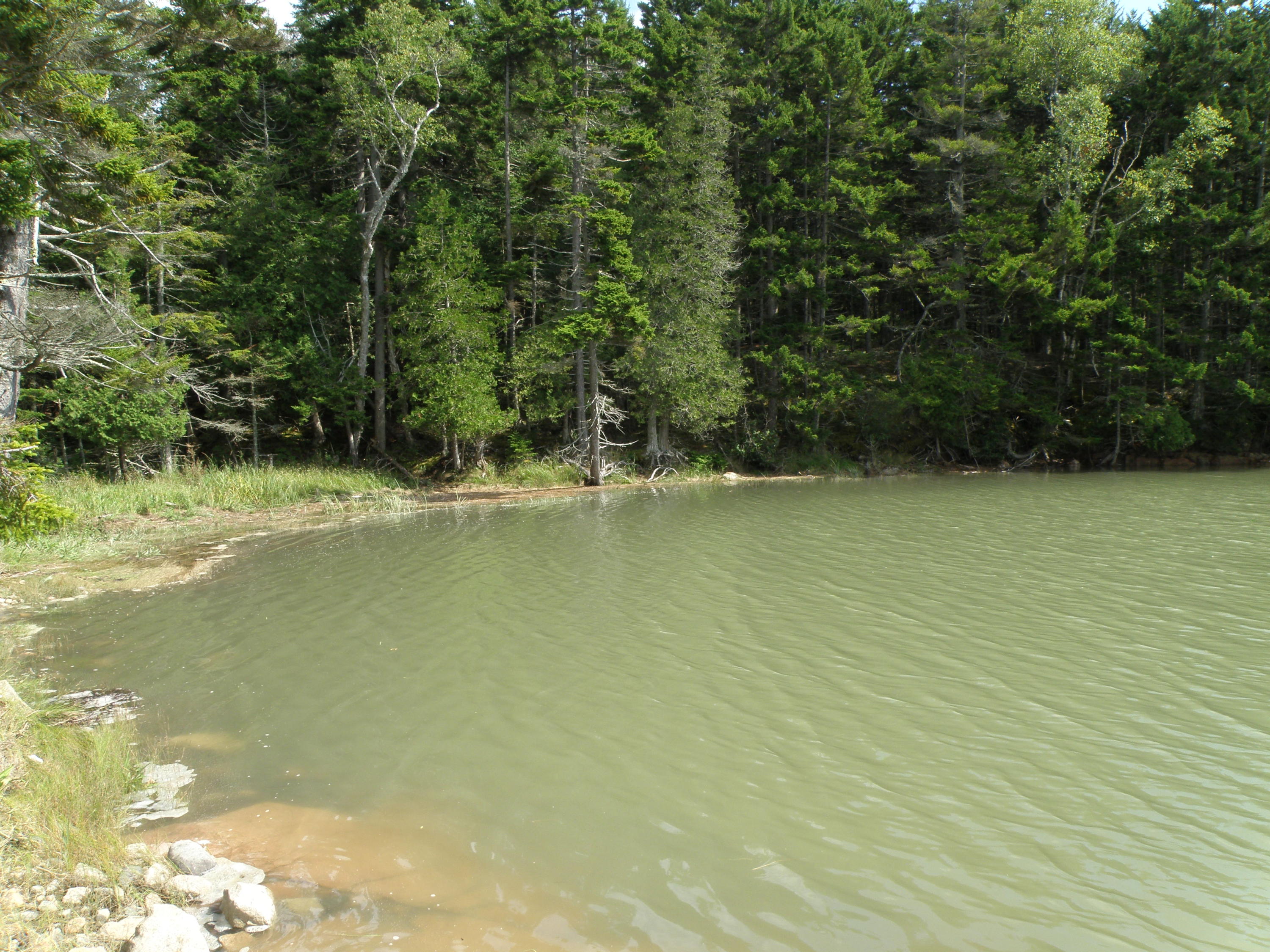 Lot 52 Grand Marsh Bay Road Corea, ME 04624 - Photo 8 of 15 P1010454