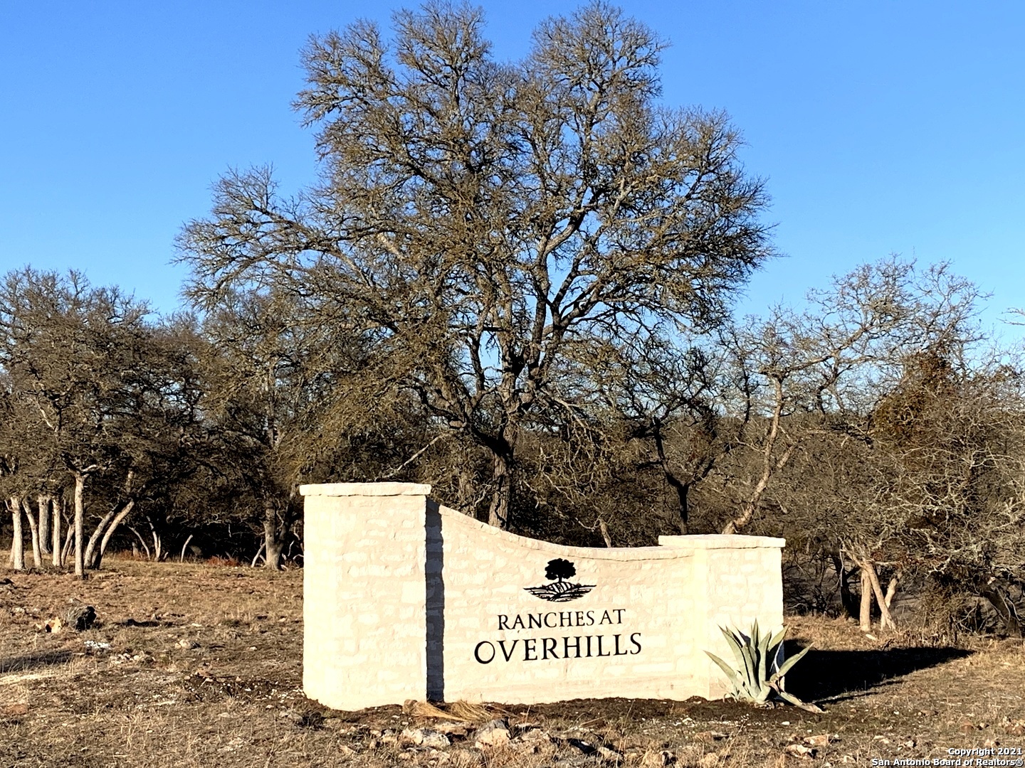 Lot 49 Reeh Road Fredericksburg, TX 78624 - Photo 1 of 1