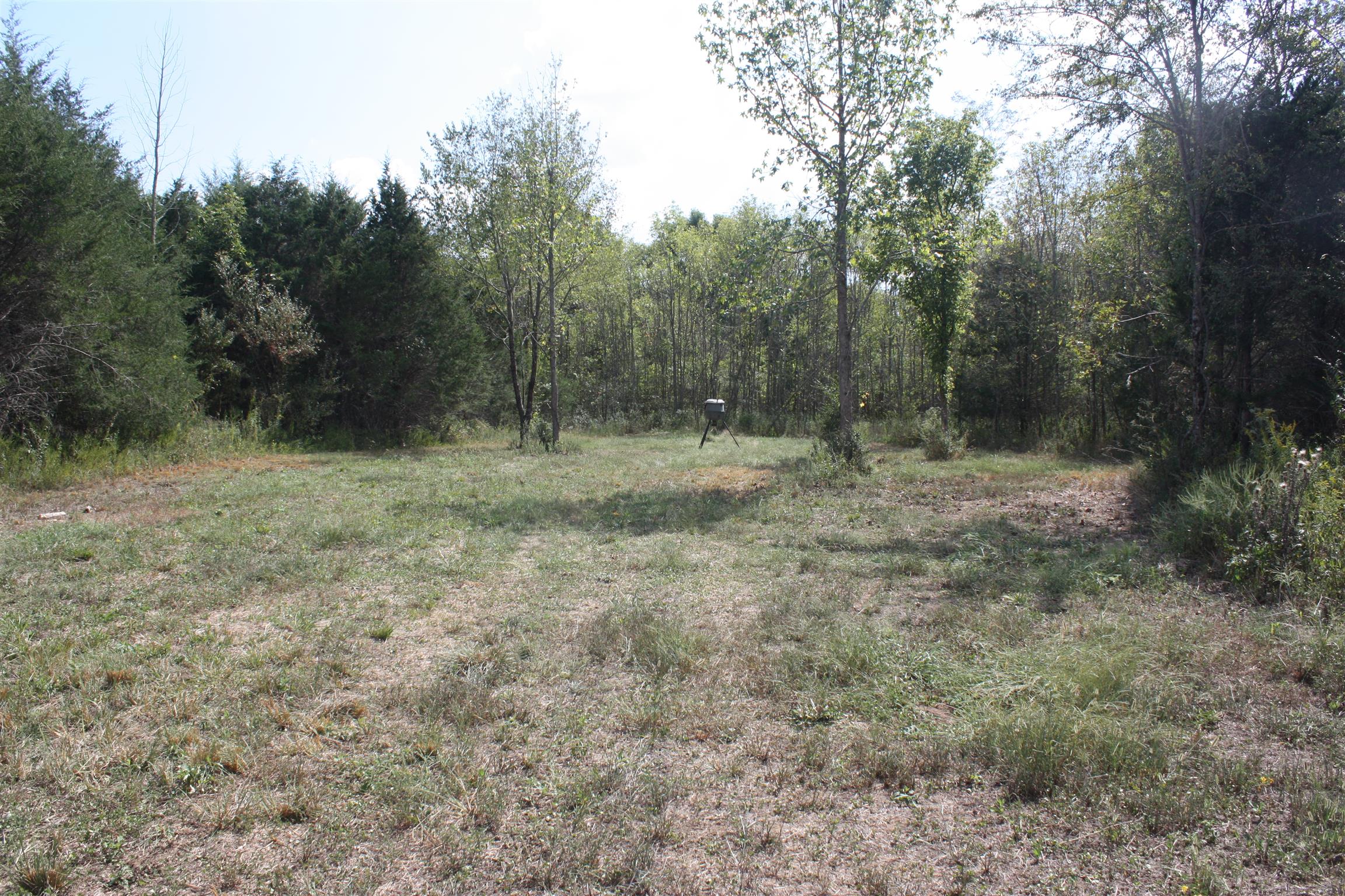 693 College Grove Road Eagleville, TN 37060 - Photo 14 of 21 Gallery Image 14