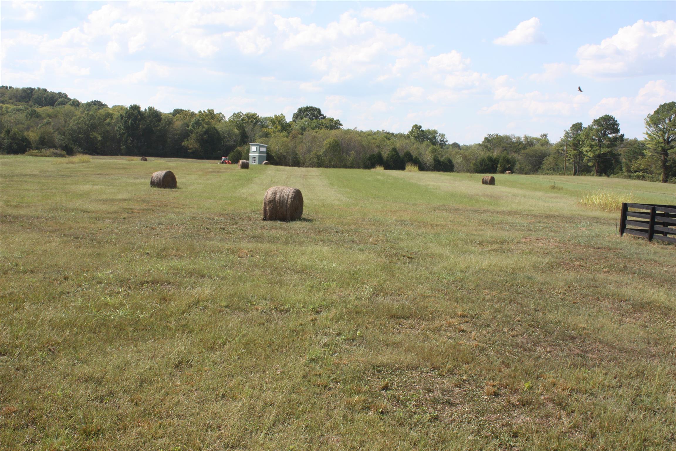 693 College Grove Road Eagleville, TN 37060 - Photo 3 of 21 Nice hayfield.
