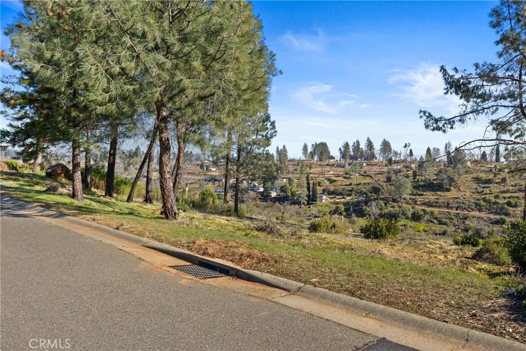5811 Acorn Ridge Drive Paradise, CA 95969 - Photo 11 of 11 a view of a yard with a trees