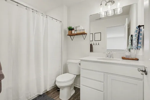 a bathroom with a sink a toilet and shower curtain
