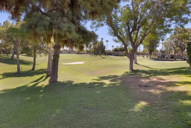 a view of an outdoor space with yard