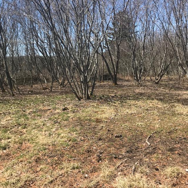 20 Riverview Lane Addison, ME 04606 - Photo 18 of 23 IMG_6101