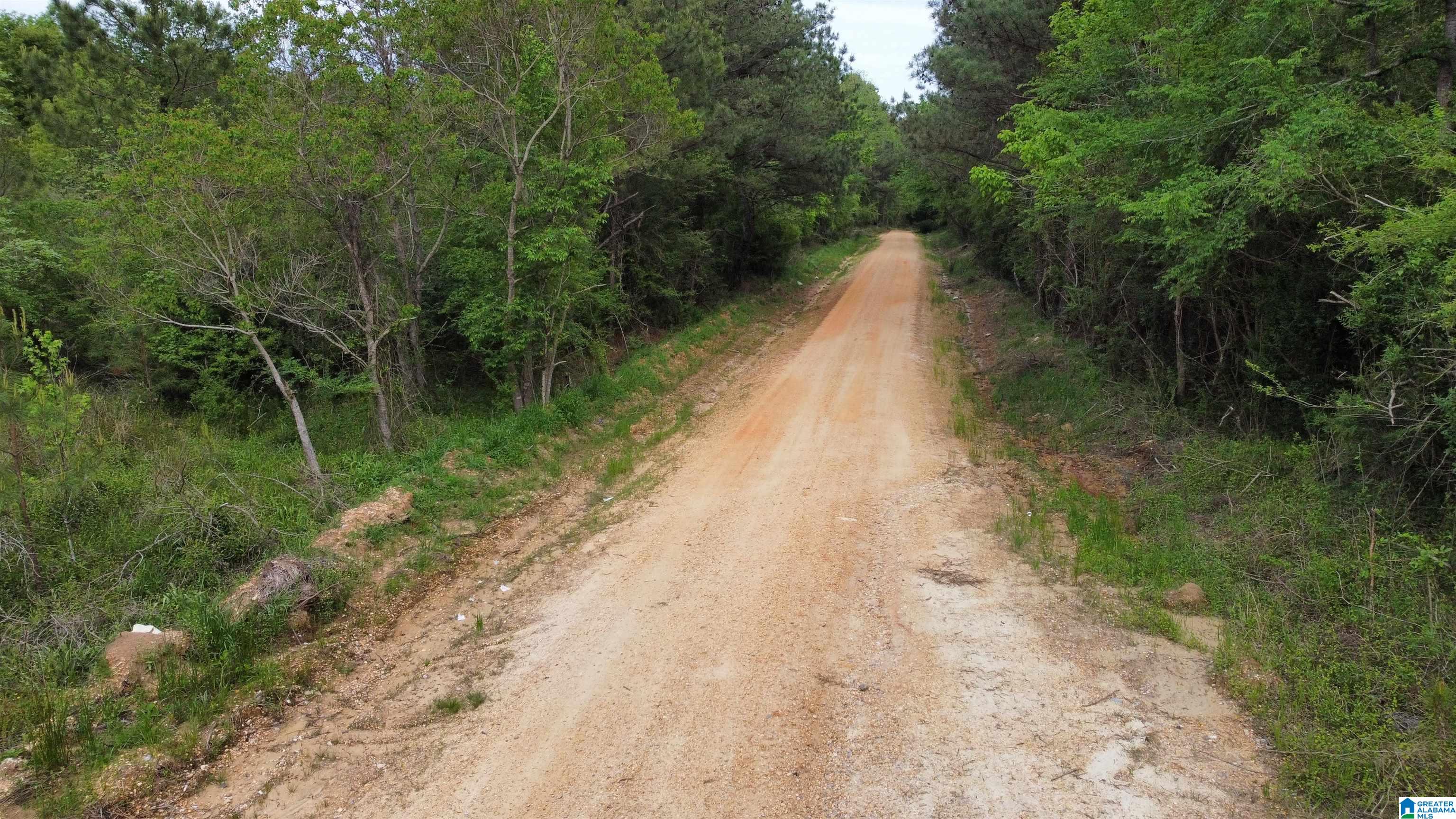 0 County Road 44 Linden, AL 36748 - Photo 19 of 48