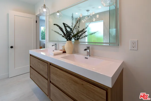 a bathroom with a sink a mirror and a potted plant