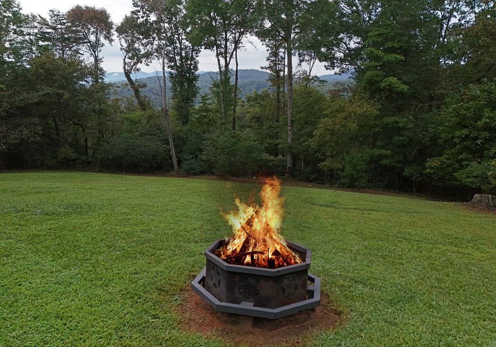 36 Deep Cove Road Blue Ridge, GA 30513 - Photo 17 of 52