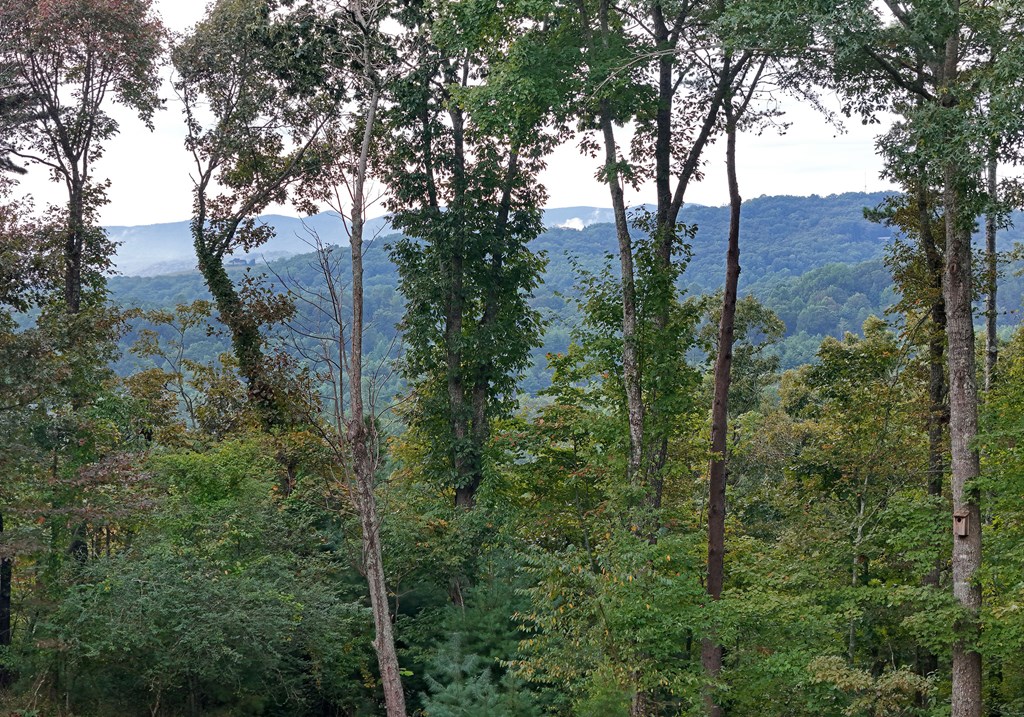 36 Deep Cove Road Blue Ridge, GA 30513 - Photo 18 of 52