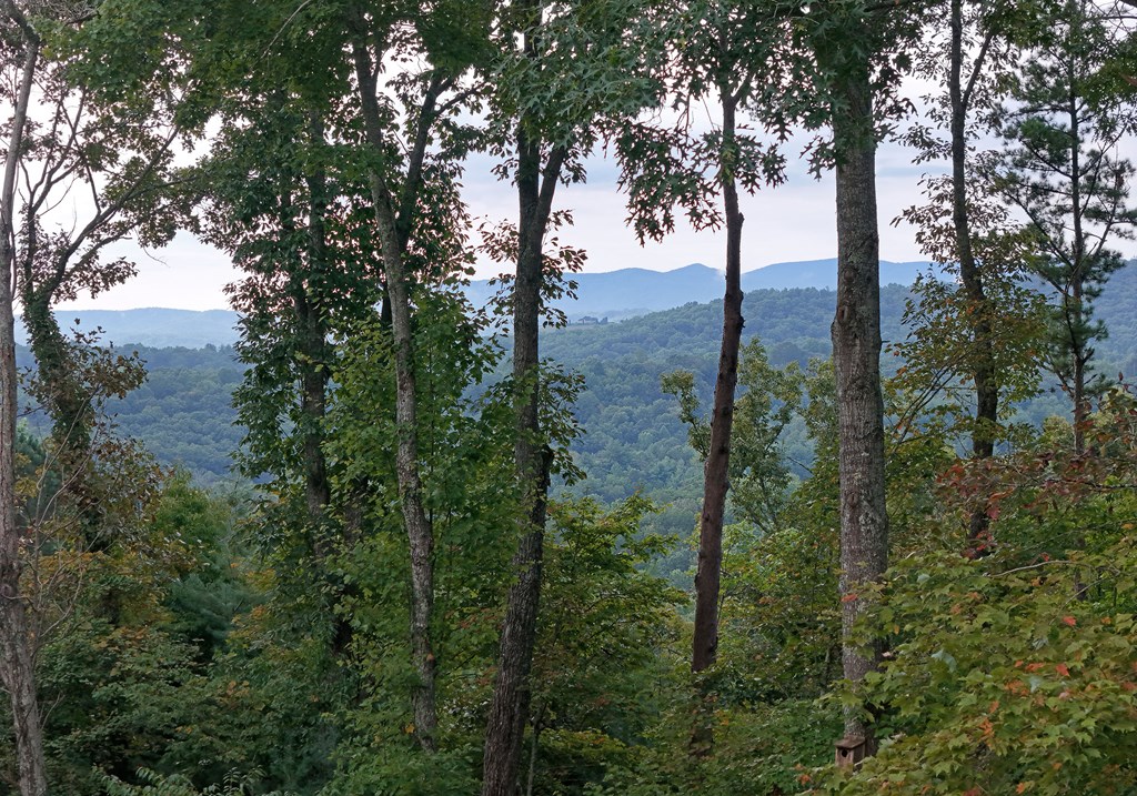 36 Deep Cove Road Blue Ridge, GA 30513 - Photo 19 of 52