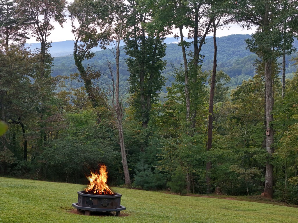 36 Deep Cove Road Blue Ridge, GA 30513 - Photo 4 of 52