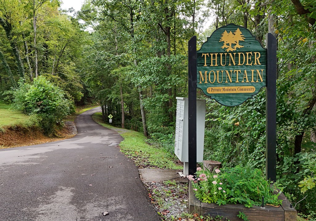 36 Deep Cove Road Blue Ridge, GA 30513 - Photo 49 of 52