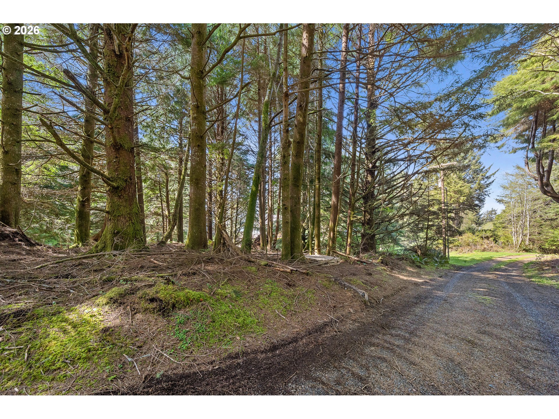 7th Street Northwest, Unit 11300 Tillamook, OR 97141 - Photo 1 of 13 a big yard with lots of green space