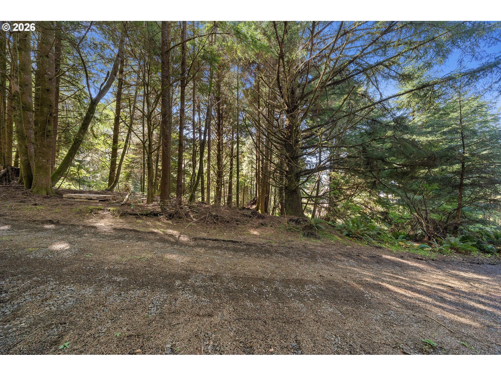7th Street Northwest, Unit 11300 Tillamook, OR 97141 - Photo 2 of 13 a view of outdoor space with trees