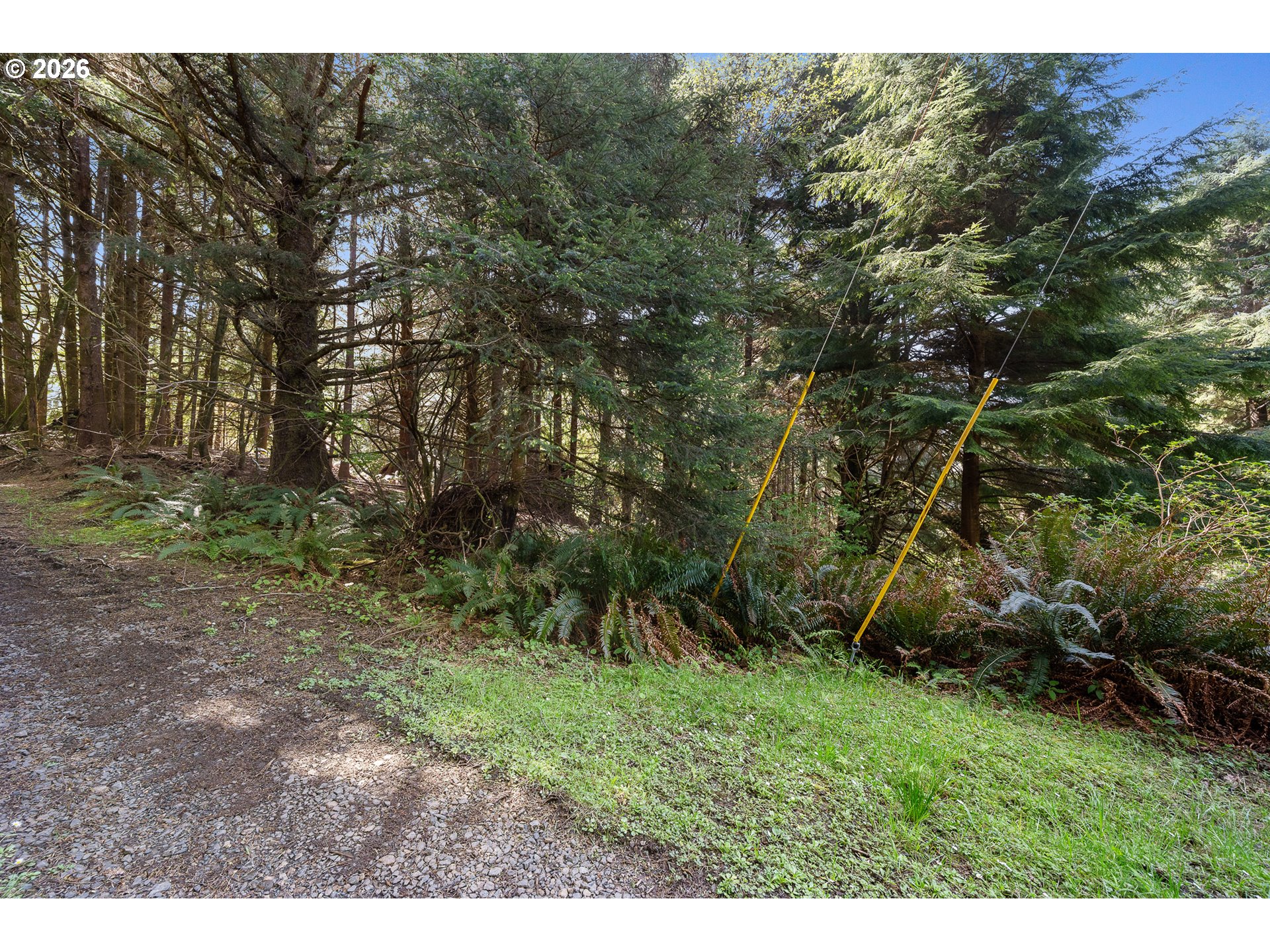 7th Street Northwest, Unit 11300 Tillamook, OR 97141 - Photo 3 of 13 a view of outdoor space and green space