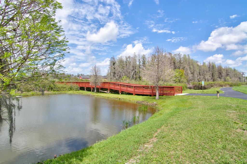 3614 Wiregrass Road New Port Richey, FL 34655 - Photo 44 of 63
