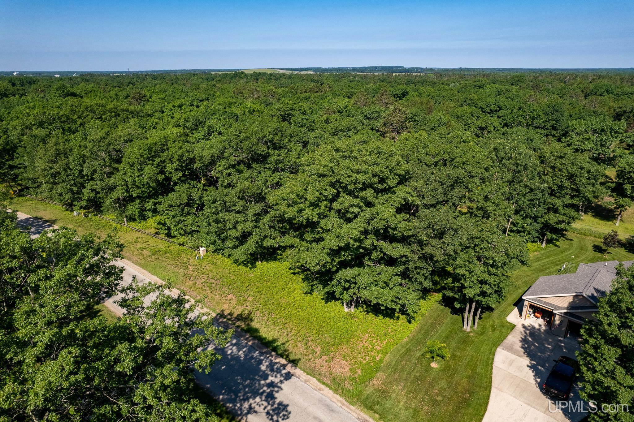 Tbd Tipperary Road Gladstone, MI 49837 - Photo 6 of 18