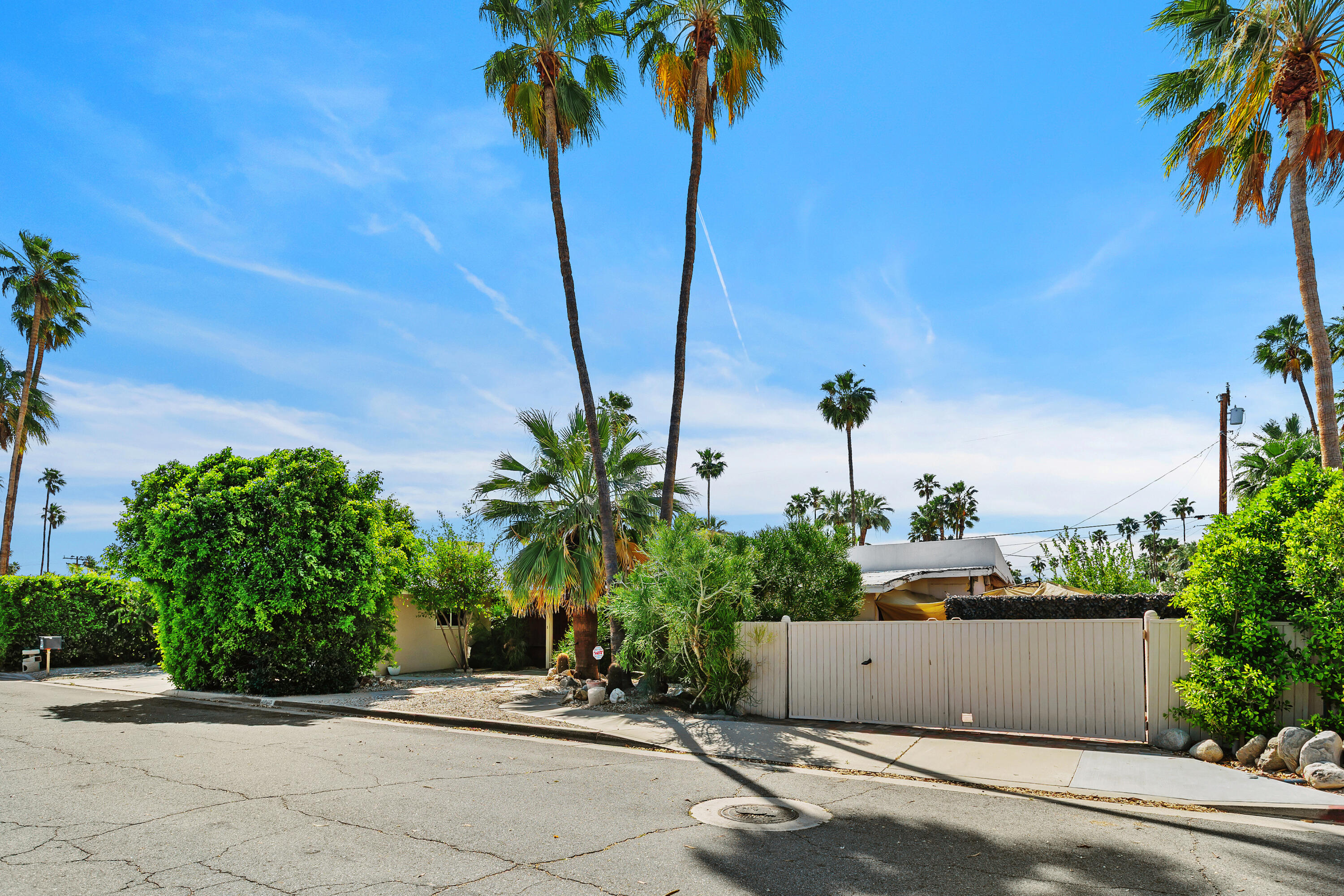 1077 South Riverside Drive Palm Springs, CA 92264 - Photo 4 of 35 a view of a yard