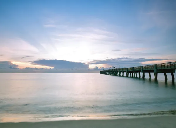 $2,850 | 531 South Federal Highway, Unit 17, Lake Worth Beach, FL 33460