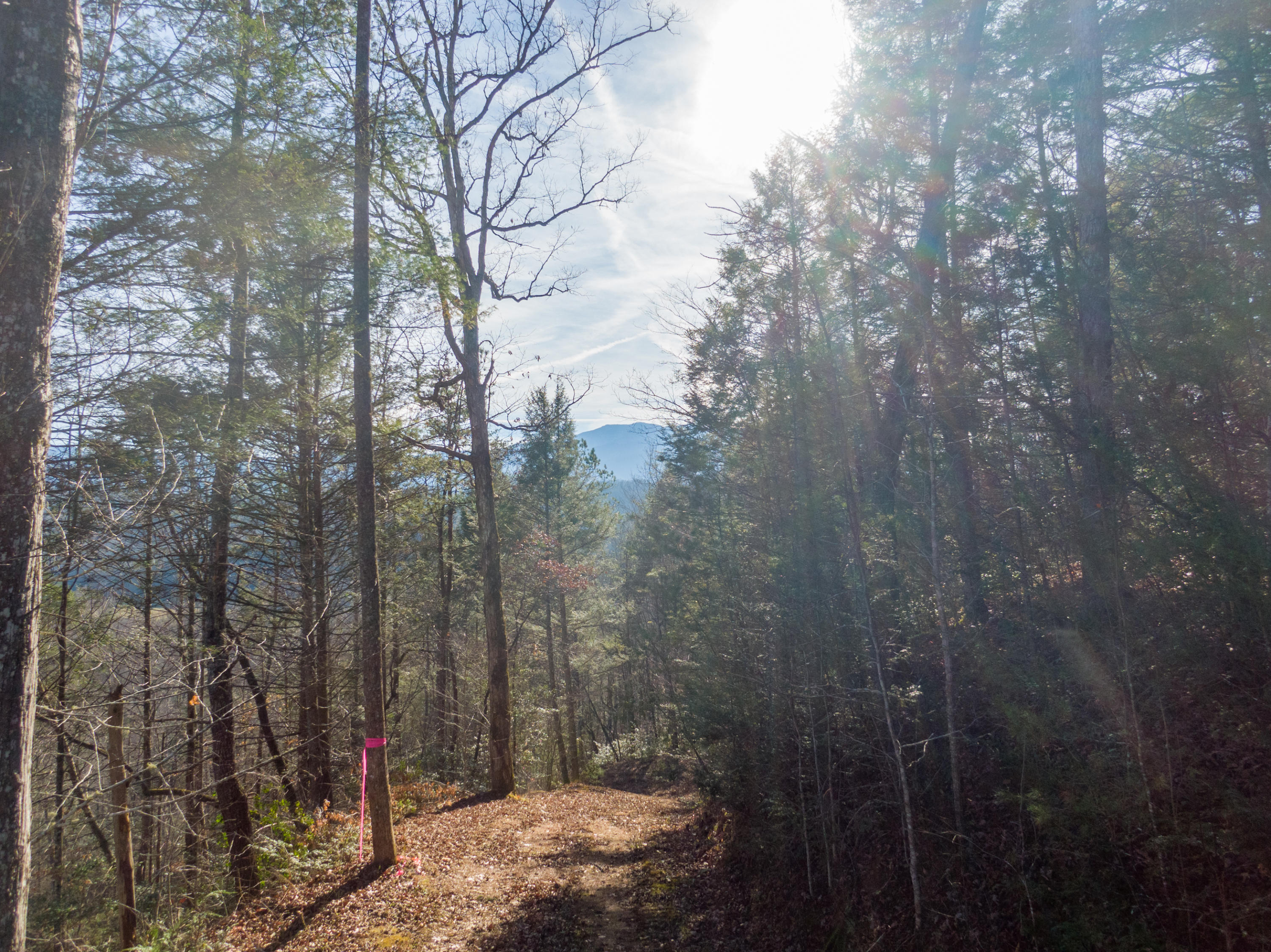 South Way Sevierville, TN 37876 - Photo 1 of 7 drive view 1