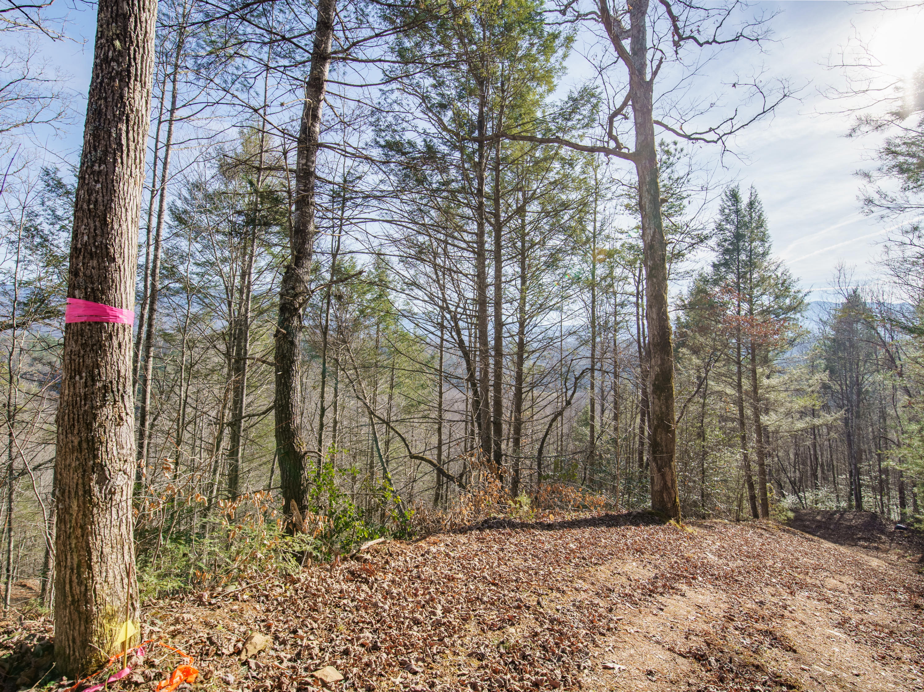 South Way Sevierville, TN 37876 - Photo 2 of 7 drive view 2