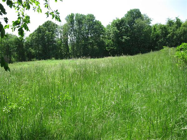 Lot C-1 Lot C-1 R Center Road Dudley, MA 01571 - Photo 2 of 5 a view of backyard with green space