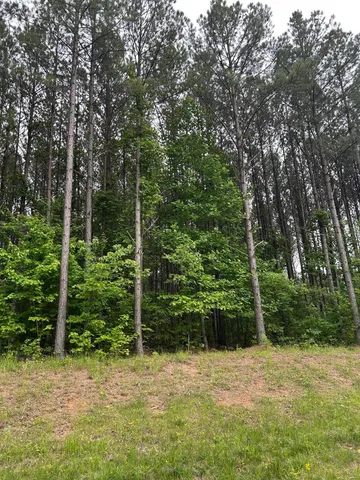 a view of a backyard with plants and large trees
