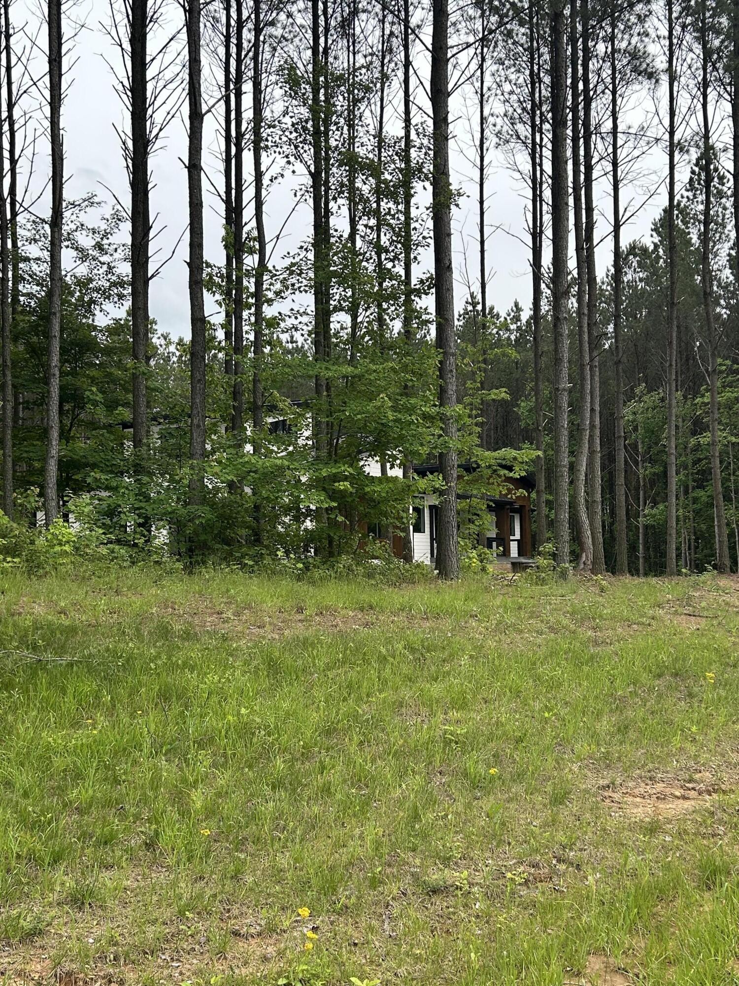 1771 Crockett Point Jasper, TN 37347 - Photo 9 of 40 a view of outdoor space with deck and yard