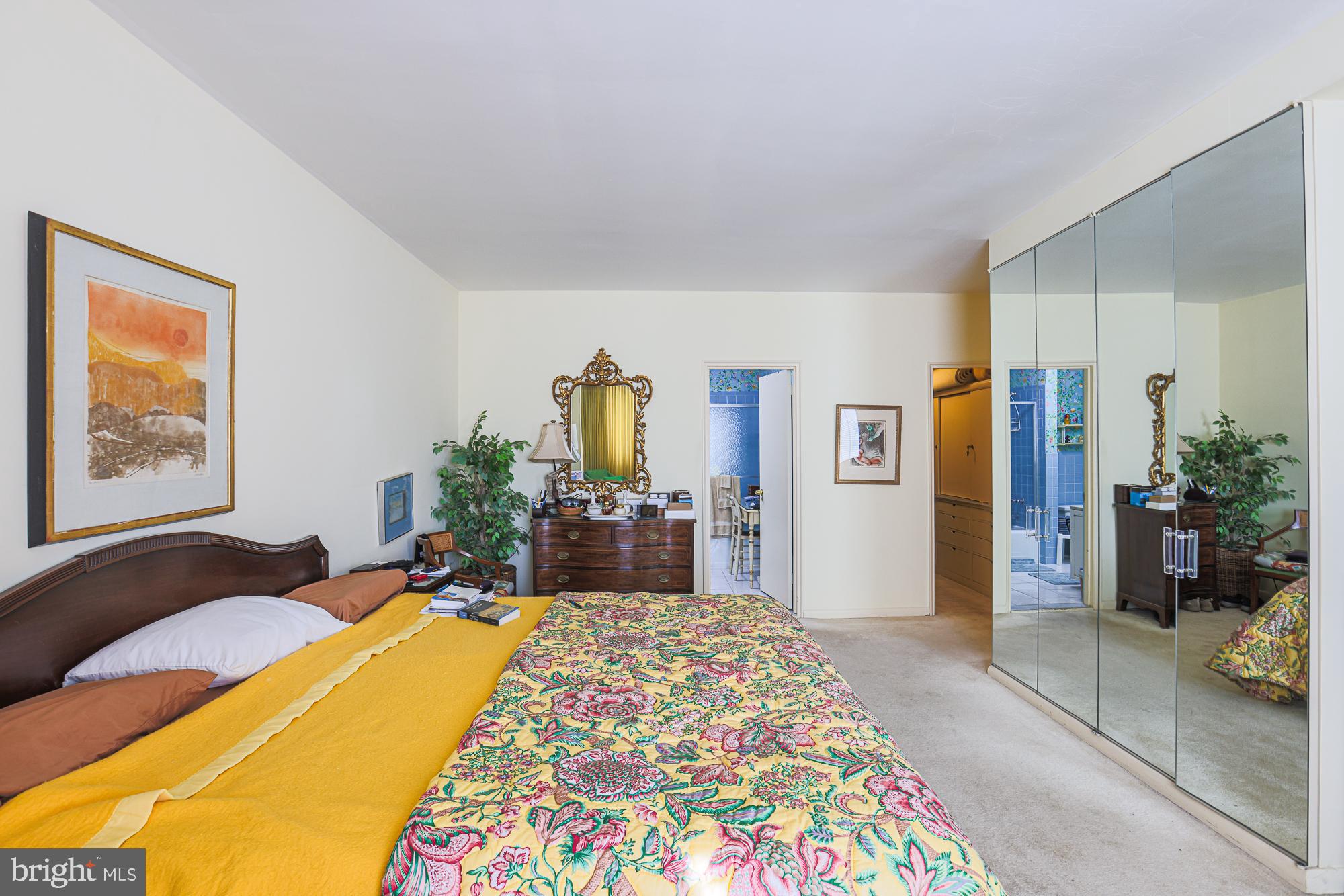 11 Slade Avenue, Unit 412 Baltimore, MD 21208 - Photo 23 of 37 Wall of mirrored storage