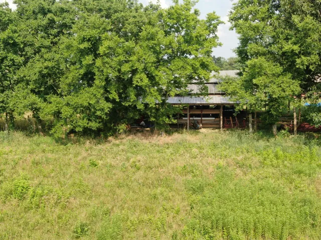 a backyard of a house with lawn chairs plants and large tree