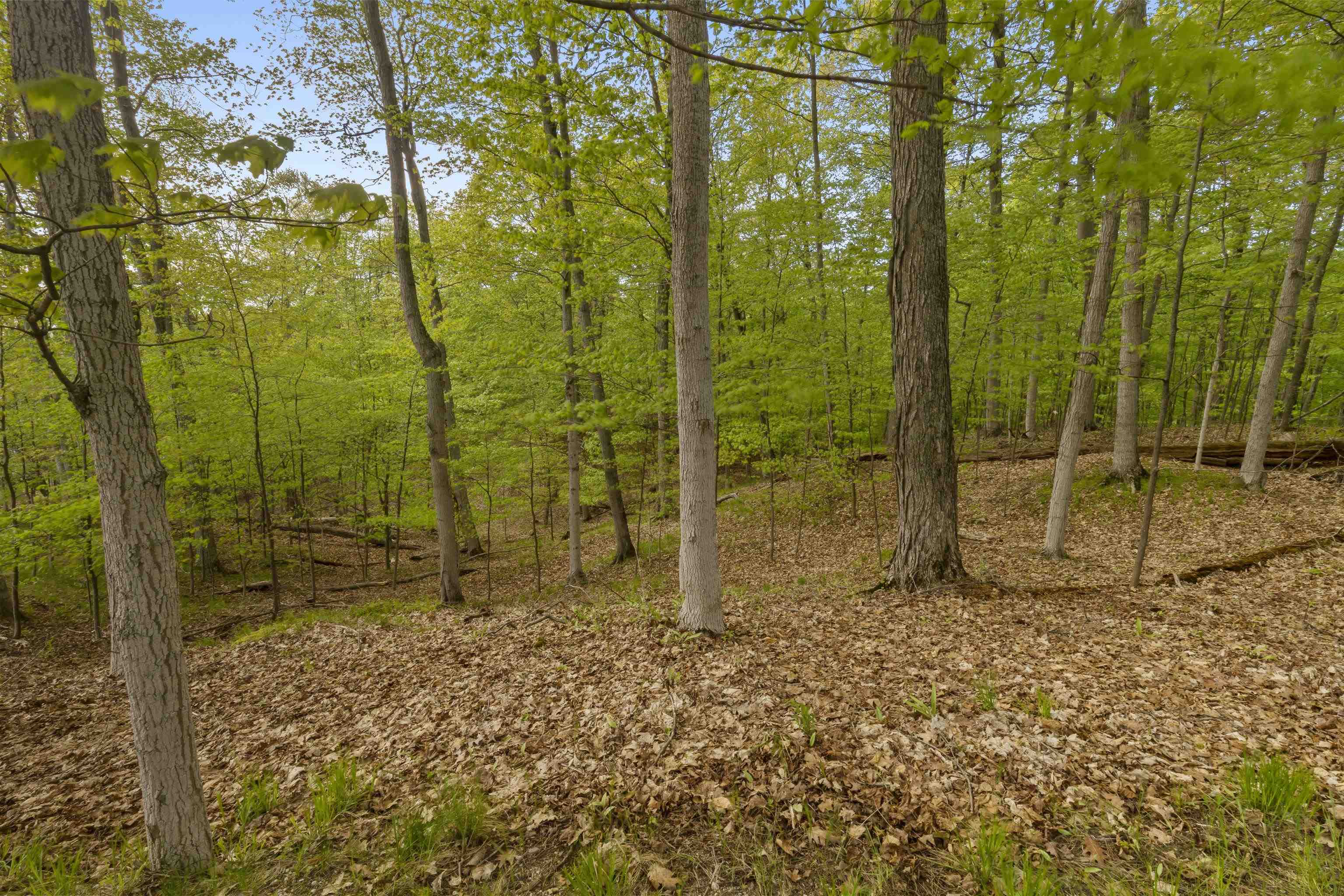 3151 Crystal Drive, Unit A Beulah, MI 49617 - Photo 65 of 69