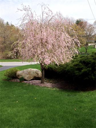 164 Maynard Farm Road Sudbury, MA 01776 - Photo 28 of 30 Gallery Image 28