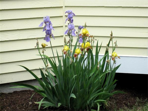 164 Maynard Farm Road Sudbury, MA 01776 - Photo 29 of 30 Gallery Image 29