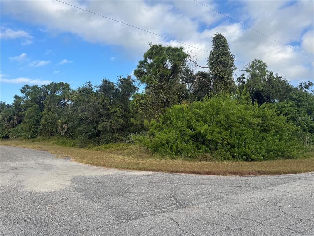 0 Peale Circle North Port, FL 34288 - Photo 2 of 5 a view of a yard with a tree