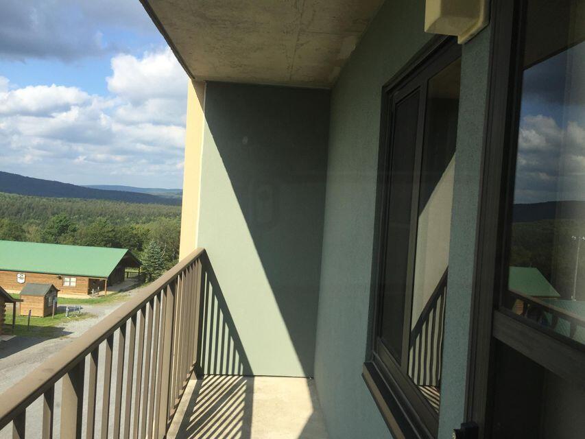 862 Silver Creek Road, Unit 2408 Snowshoe, WV 26209 - Photo 9 of 14 Gallery Image 9
