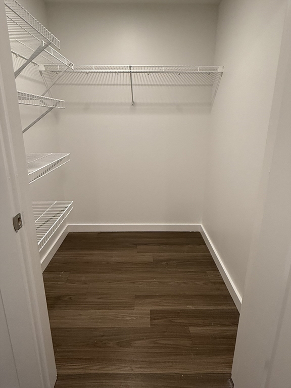 466 River Street, Unit 217 Boston, MA 02126 - Photo 6 of 18 a view of an empty walk in closet